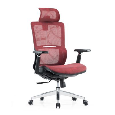Lumbar Support Full Mesh Luxury Mesh With Headrest Adjustable Fabric Comfort Office Ergonomic Chair